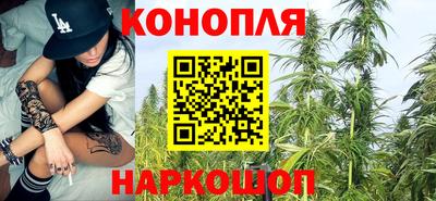 ПСИЛОЦИБИНОВЫЕ ГРИБЫ Камышлов