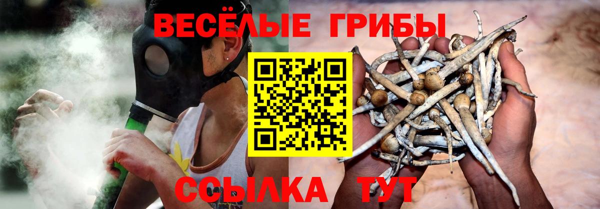 Галлюциногенные грибы ЛСД Морозовск